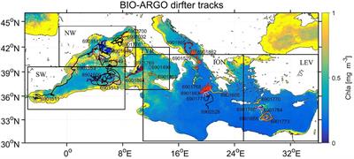 Process-Oriented Estimation of Chlorophyll-a Vertical Profile in the Mediterranean Sea Using MODIS and Oceanographic Float Products